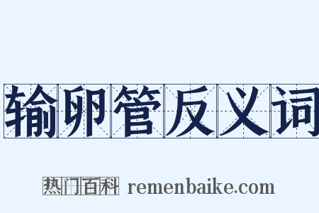 输卵管反义词是什么意思的图片
